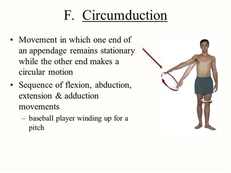 circumduction definition pe